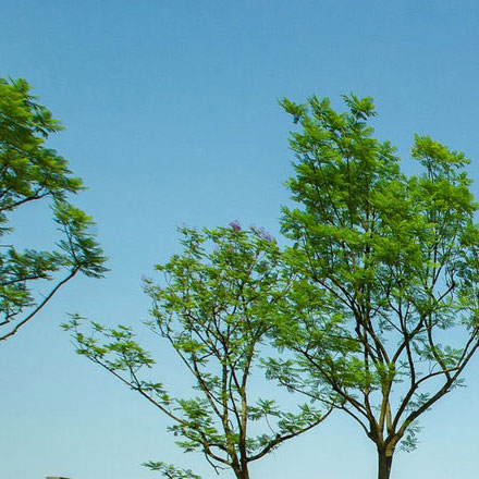 購物中心作品案例展示