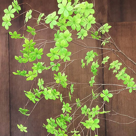 中國能效標(biāo)識怎么看設(shè)計(jì):能源效率的認(rèn)證標(biāo)志