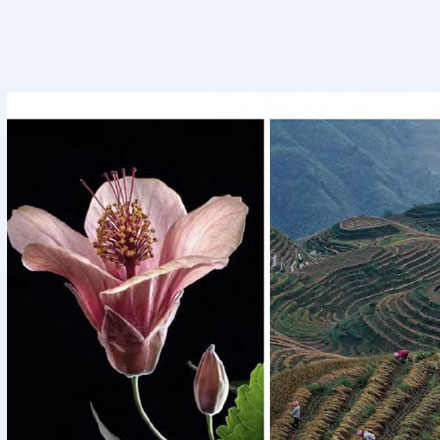 度假村景區(qū)作品案例展示